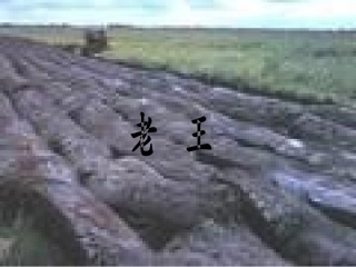 (部编)初中语文人教2011课标版七年级下册老王课件-(19)