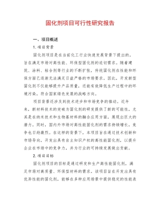 固化剂项目可行性研究报告