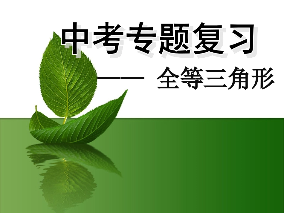 全等三角形中考专题复习_第2页