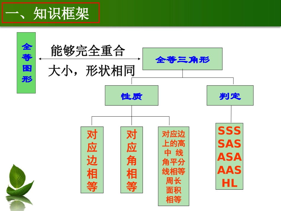 全等三角形中考专题复习_第3页