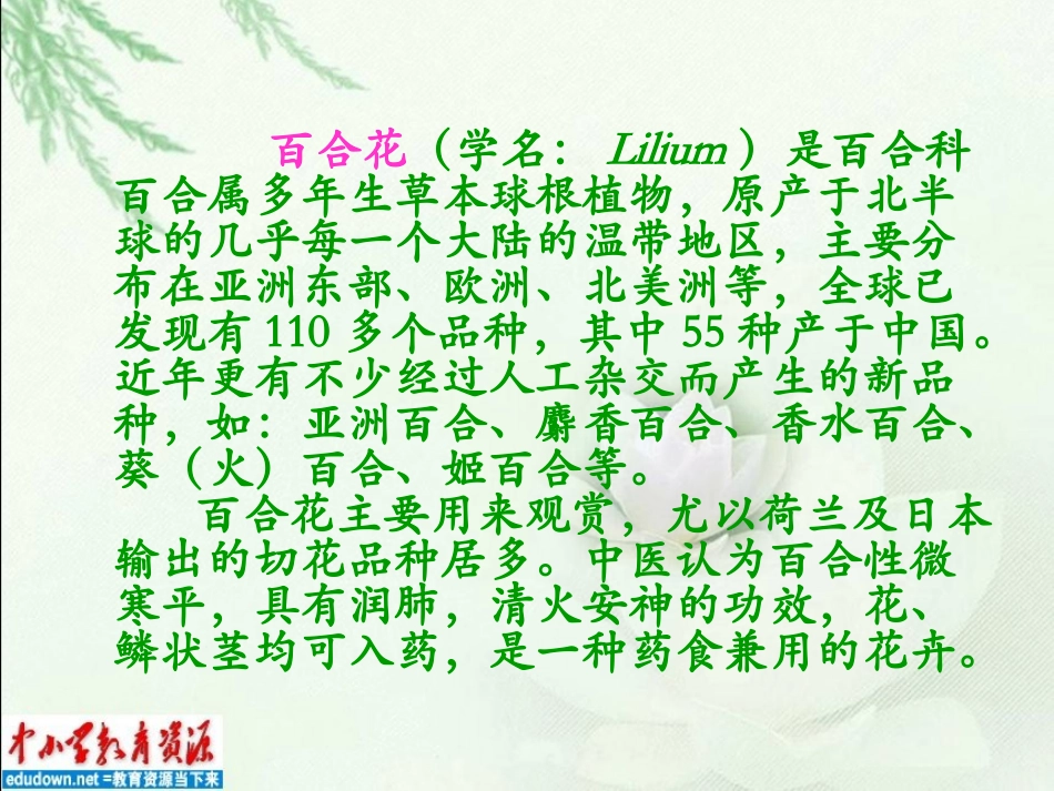 心田上的百合花_第3页