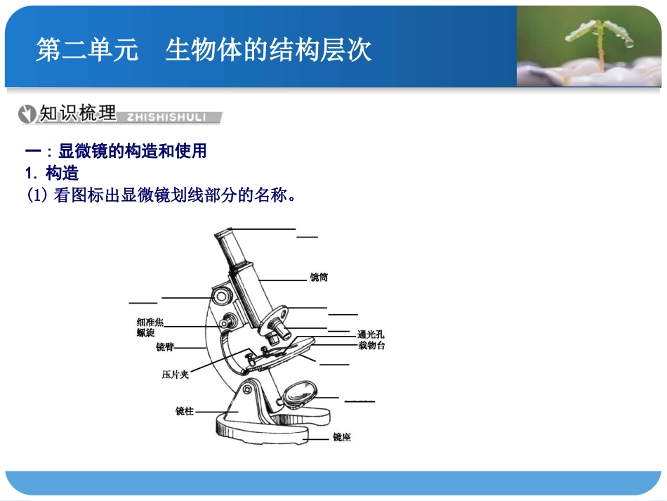 第二讲-细胞是生命活动的基本单位_第2页