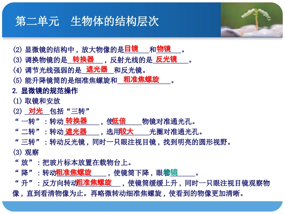 第二讲-细胞是生命活动的基本单位_第3页