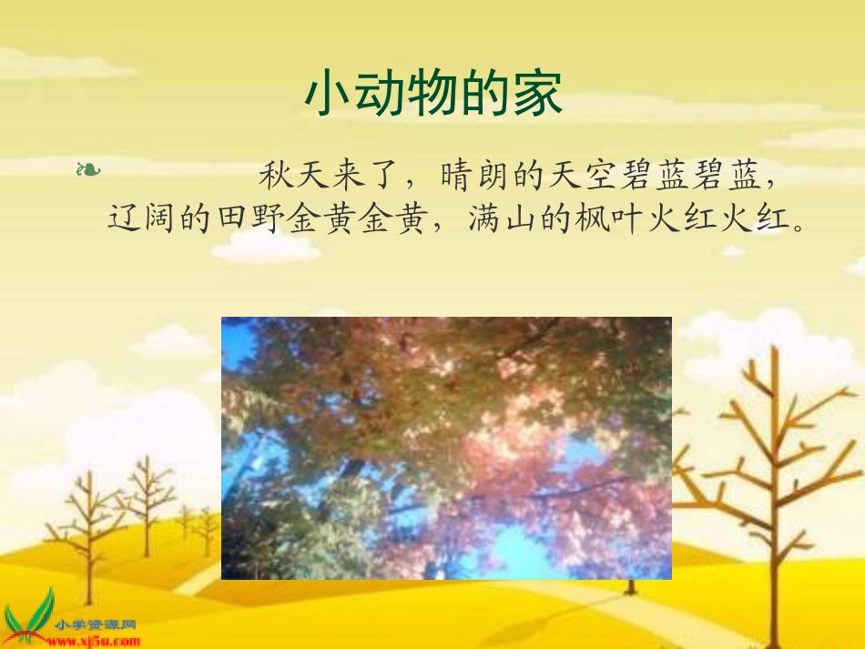 长春版小动物的家._第3页