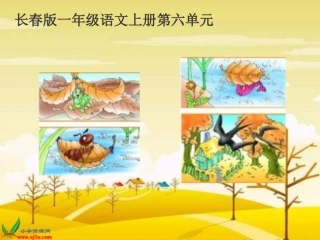 长春版小动物的家.