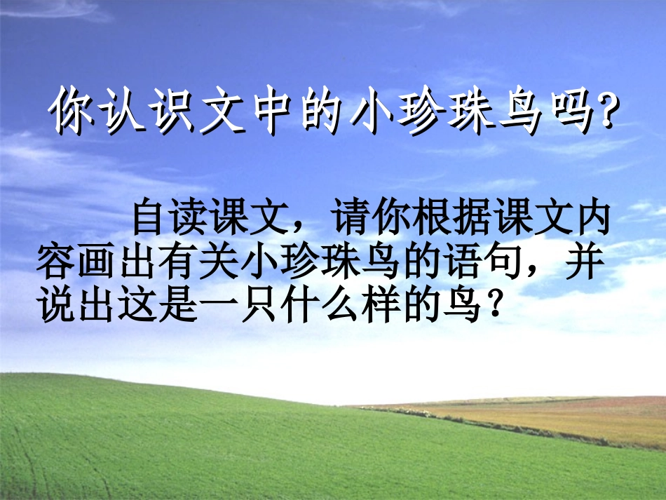 《珍珠鸟》课件_第3页