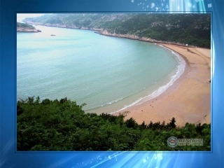 浙江省温州市第十一中学八年级科学上册-水在哪里课件-新人教版