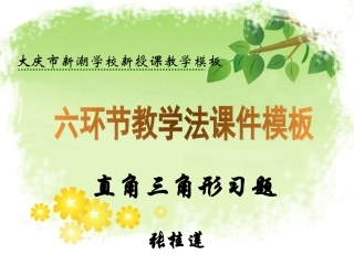 直角三角形习题模板