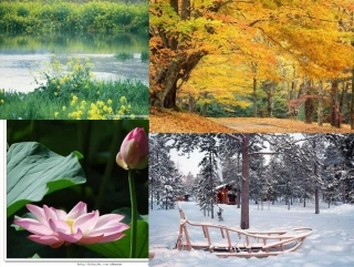 2013年中考语文复习-古诗词复习-(默写)-了解题型特点掌握解题方法课件