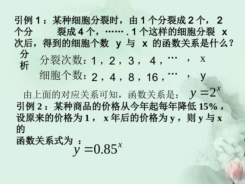 (新课程)高中数学-3.1.2《指数函数》课件2(1)-新人教B版必修1_第2页