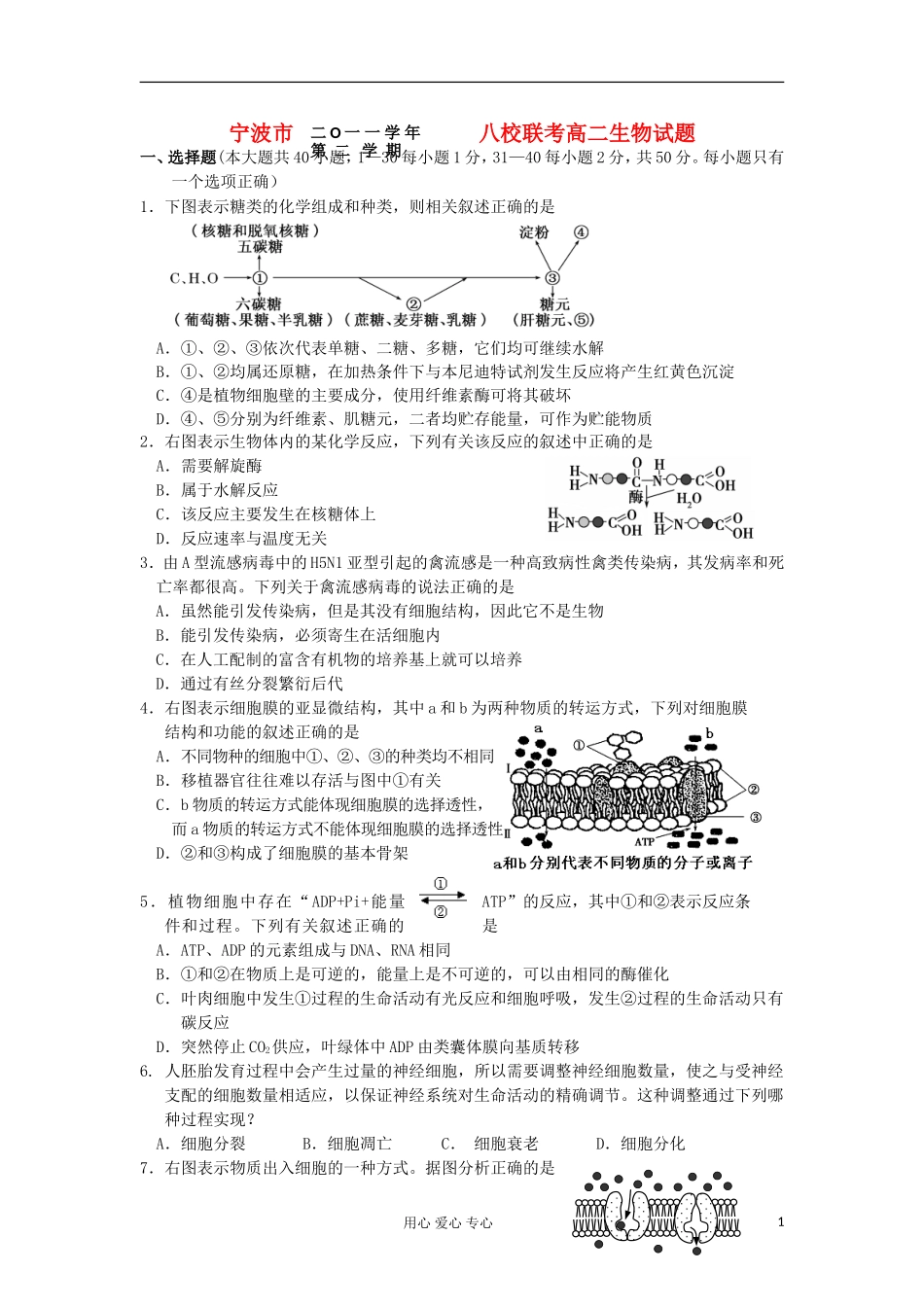 浙江省宁波市八校2011-2012学年高二生物下学期期末联考_第1页