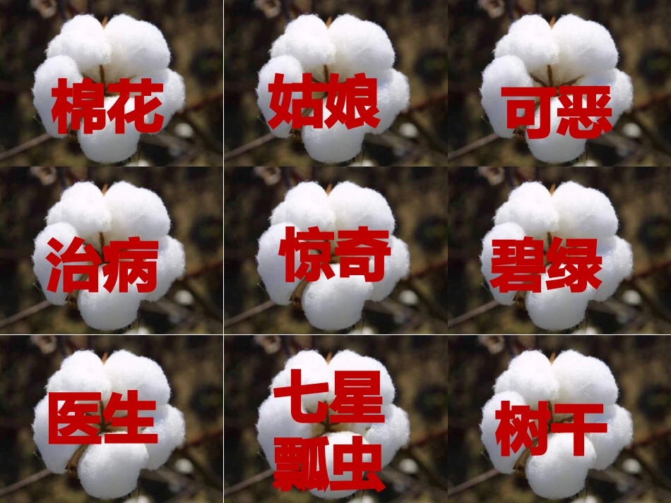 (部编)人教语文2011课标版一年级下册《棉花姑娘》第二课时_第2页