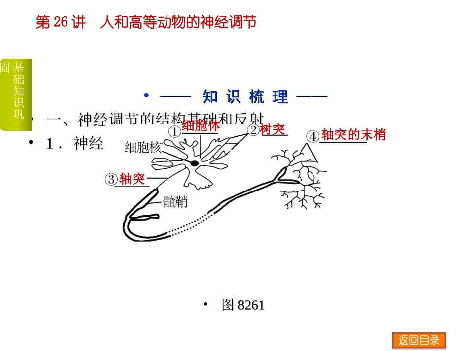 杨松课件。神经系统的生命活动调节_第2页