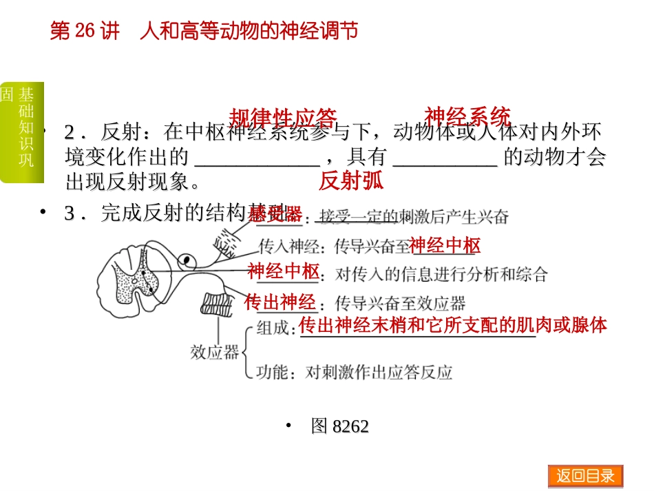 杨松课件。神经系统的生命活动调节_第3页
