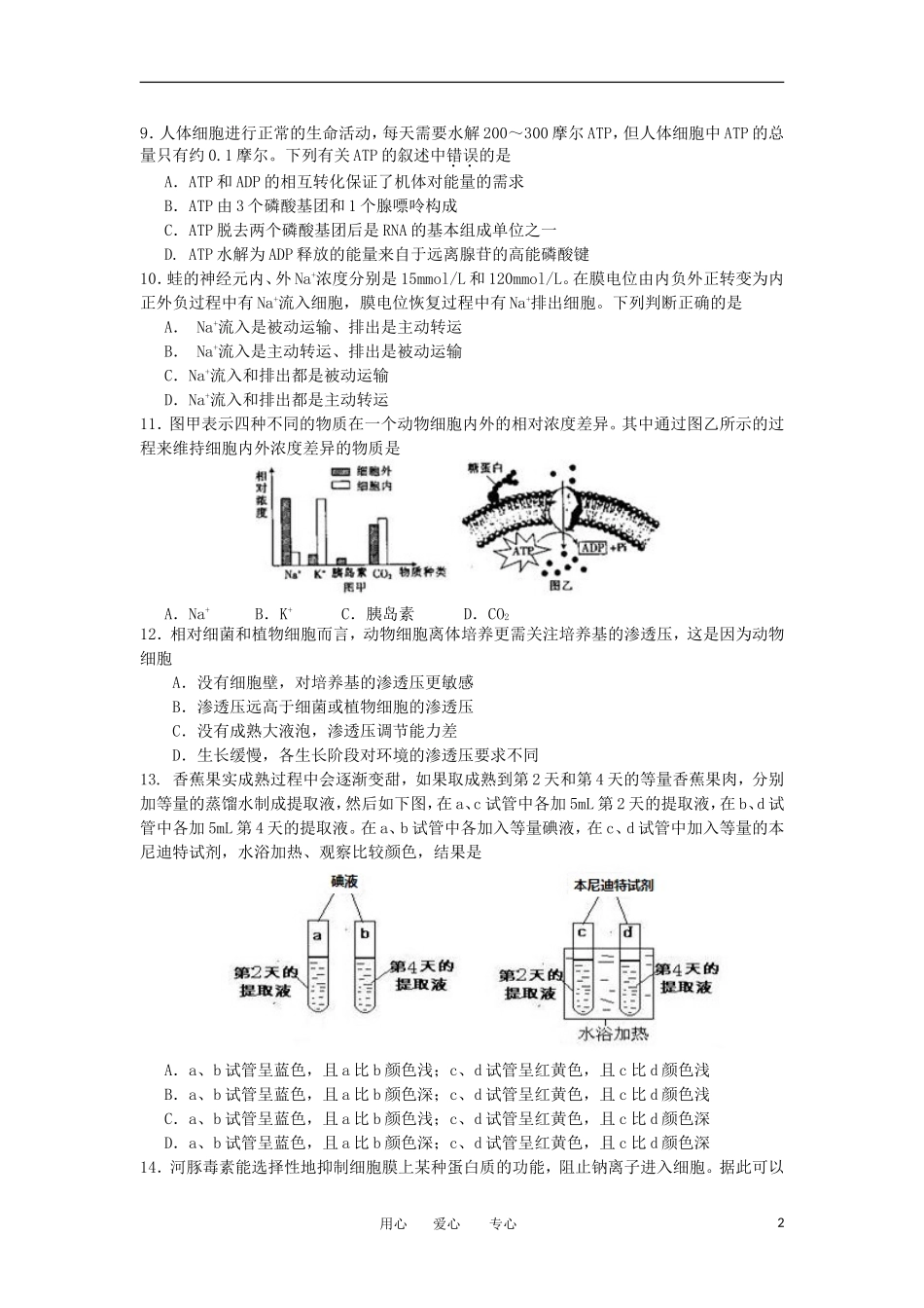 浙江省宁波市2013届高三生物上学期期中试题浙科版_第2页