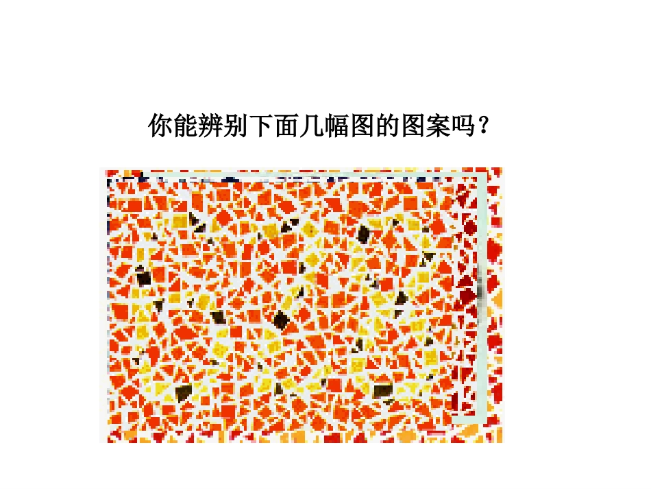 人类主要的遗传病_第2页