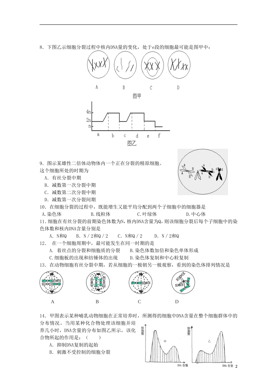 高中生物-5.1《细胞增殖》测试(8)苏教版必修1_第2页