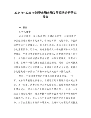 2024年-2025年消费市场市场发展现状分析研究报告