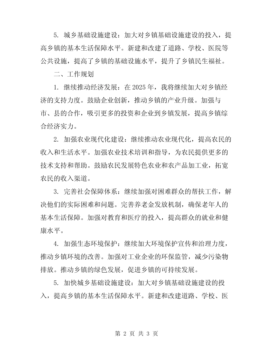 2024乡镇工作总结及工作规划_第2页