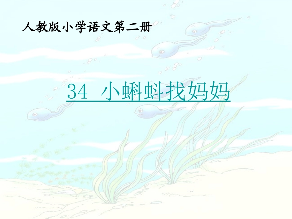 小蝌蚪找妈妈_第1页
