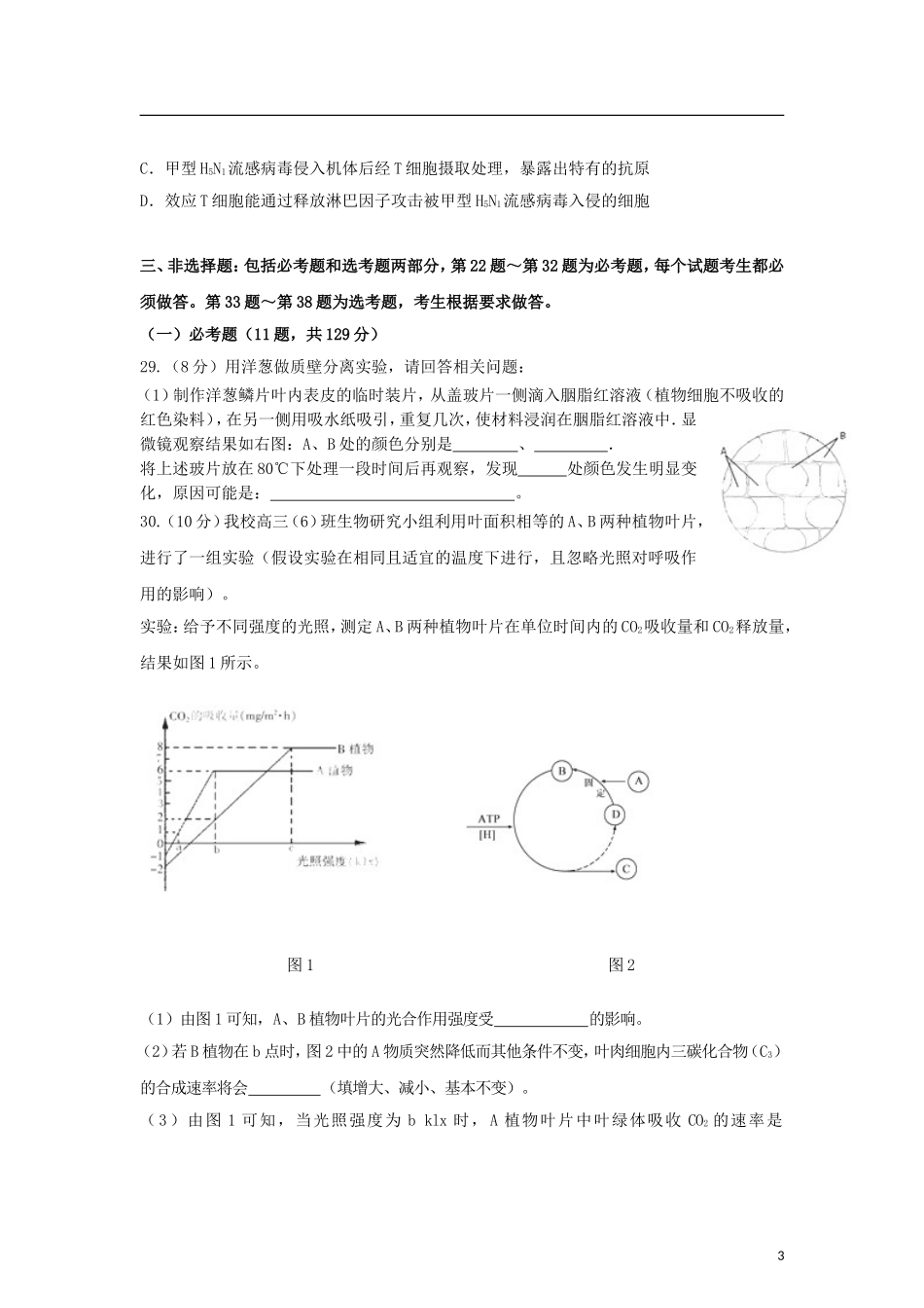内蒙古包头市2013届高三生物第一次模拟考试试题新人教版_第3页