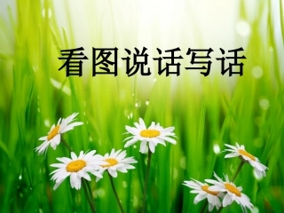 看图写话摘花
