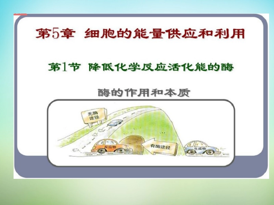 科学前沿组装细胞_第1页