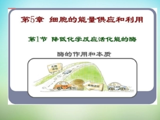 科学前沿组装细胞