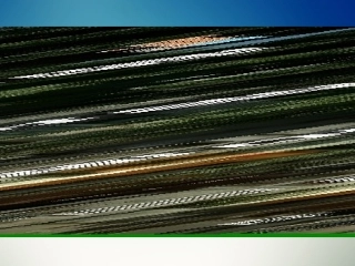 走进广告的世界-领略语文的魅力