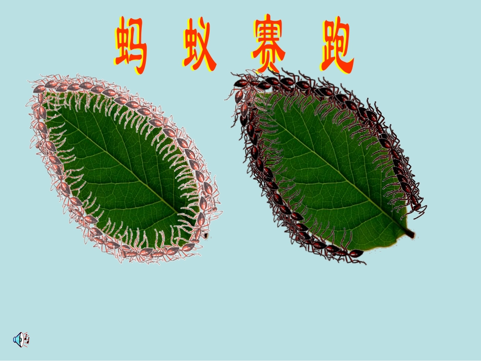 什么是周长-北师大版--课件_第3页