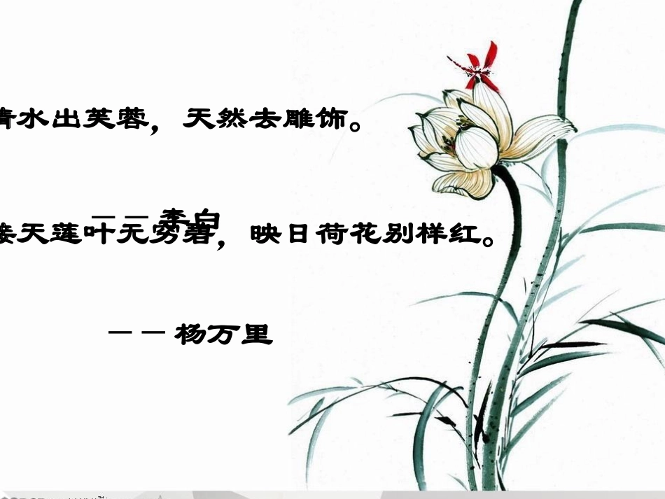 《爱莲说》ppt课件_第1页