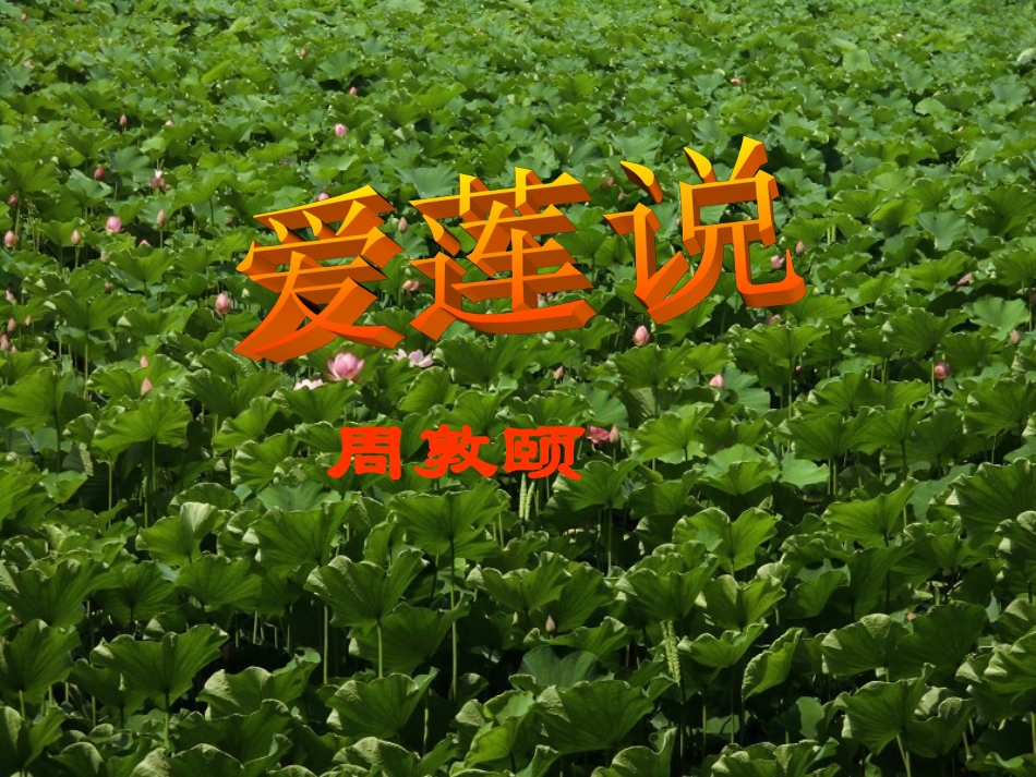 《爱莲说》ppt课件_第3页