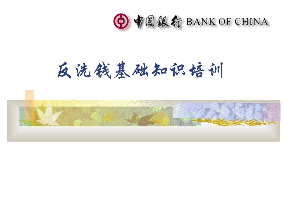 银行反洗钱基础知识培训讲义_第1页