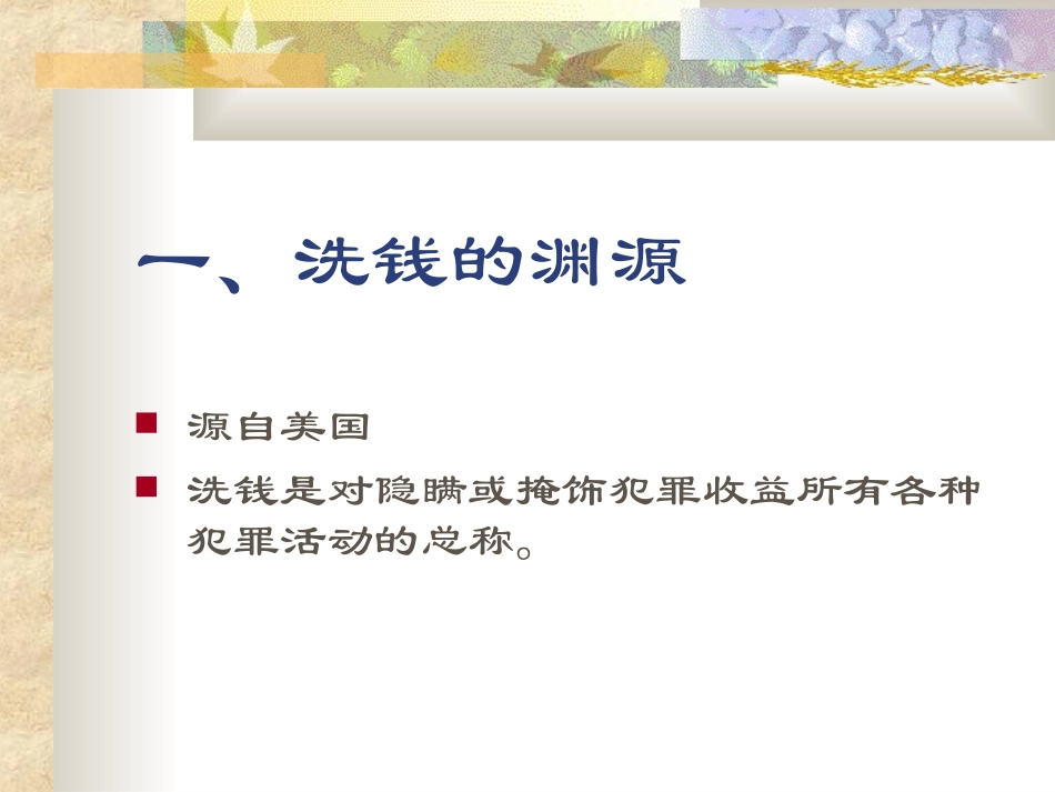 银行反洗钱基础知识培训讲义_第2页