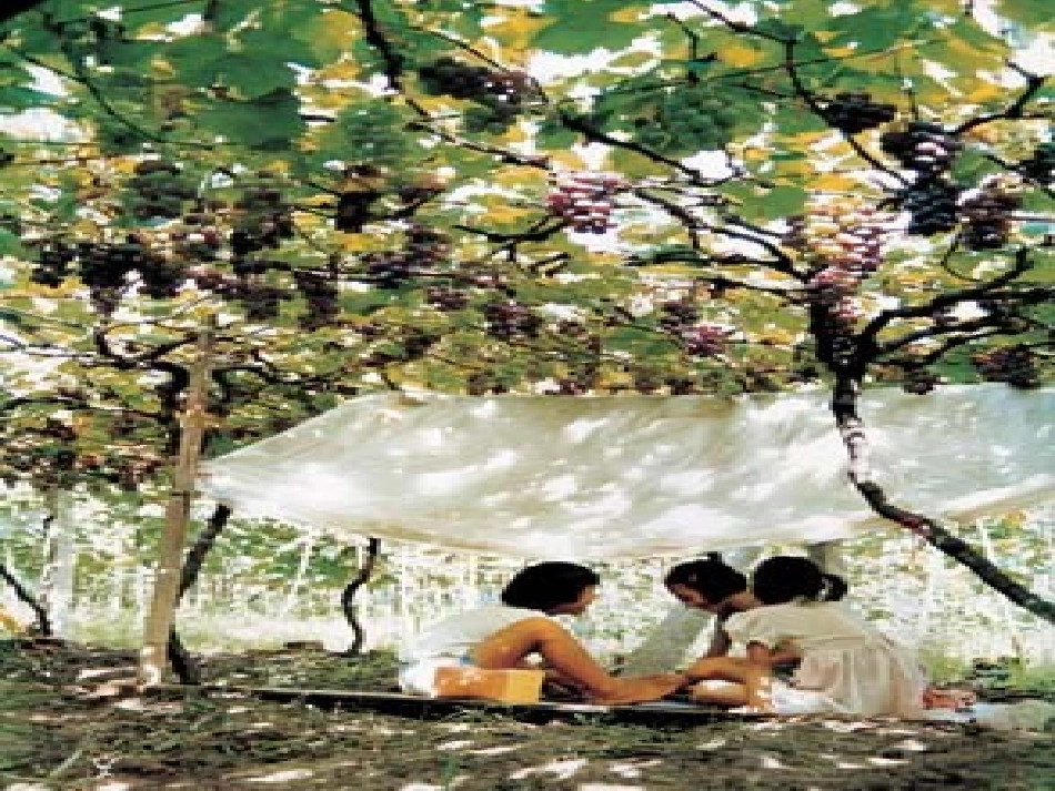 大自然的语言_第3页