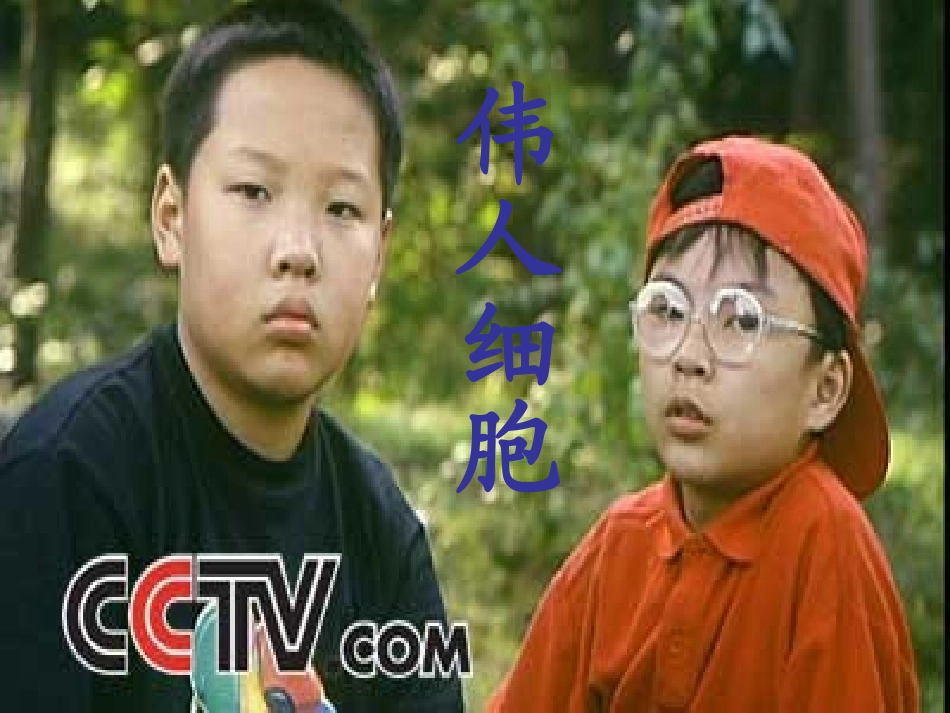 山西省太谷县明星中学七年级语文下册《伟人细胞》课件2-新人教版_第1页