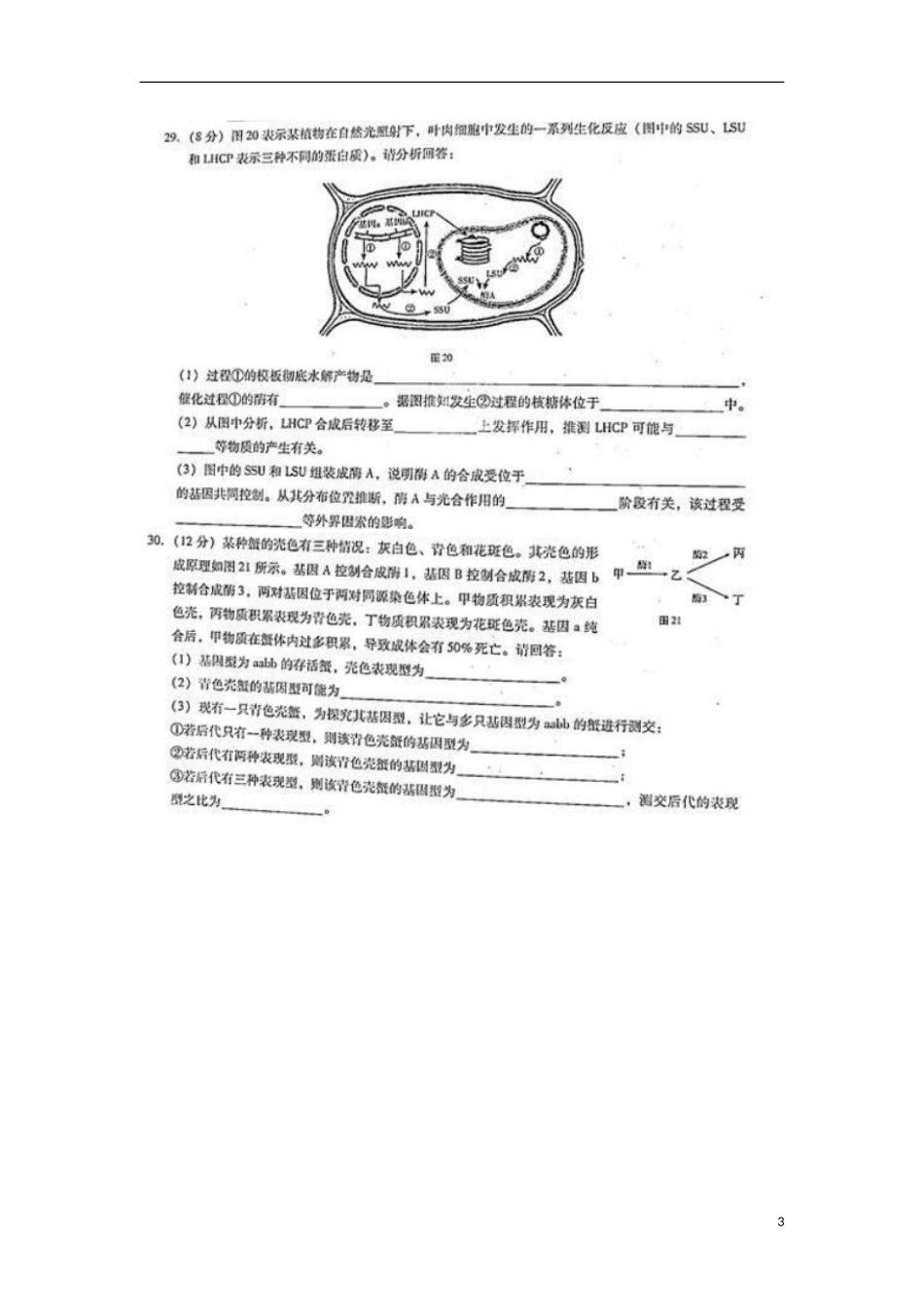 云南省昆明市2013届高考理综适应性月考卷(七)(生物部分-扫描版)新人教版_第3页