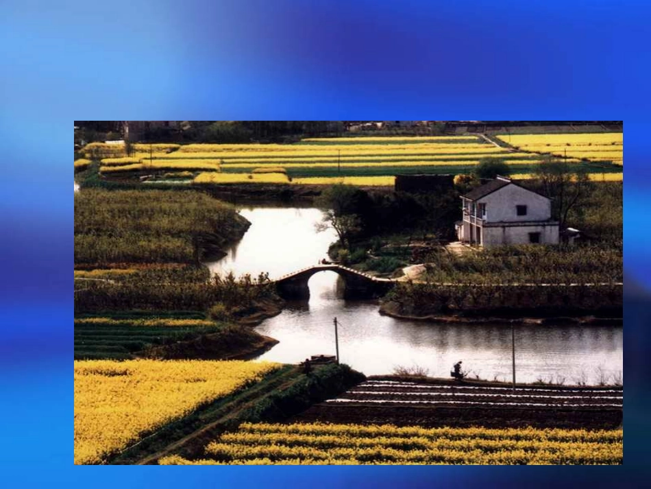 八年级语文桥之美2_第3页