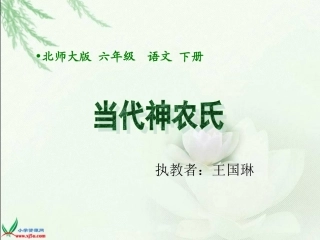 当代神农氏课件(北师大版)