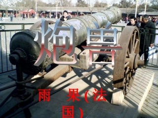 炮兽-(2)