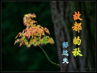 《故都的秋》PPT.