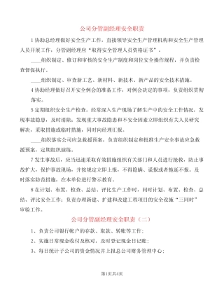 公司分管副经理安全职责(8) 