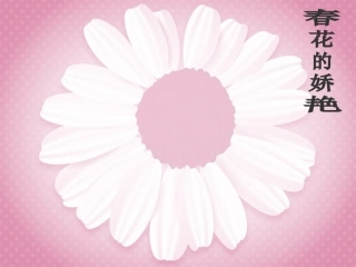 河北省滦南县青坨营中学八年级语文上册《大自然的语言》课件-新人教版