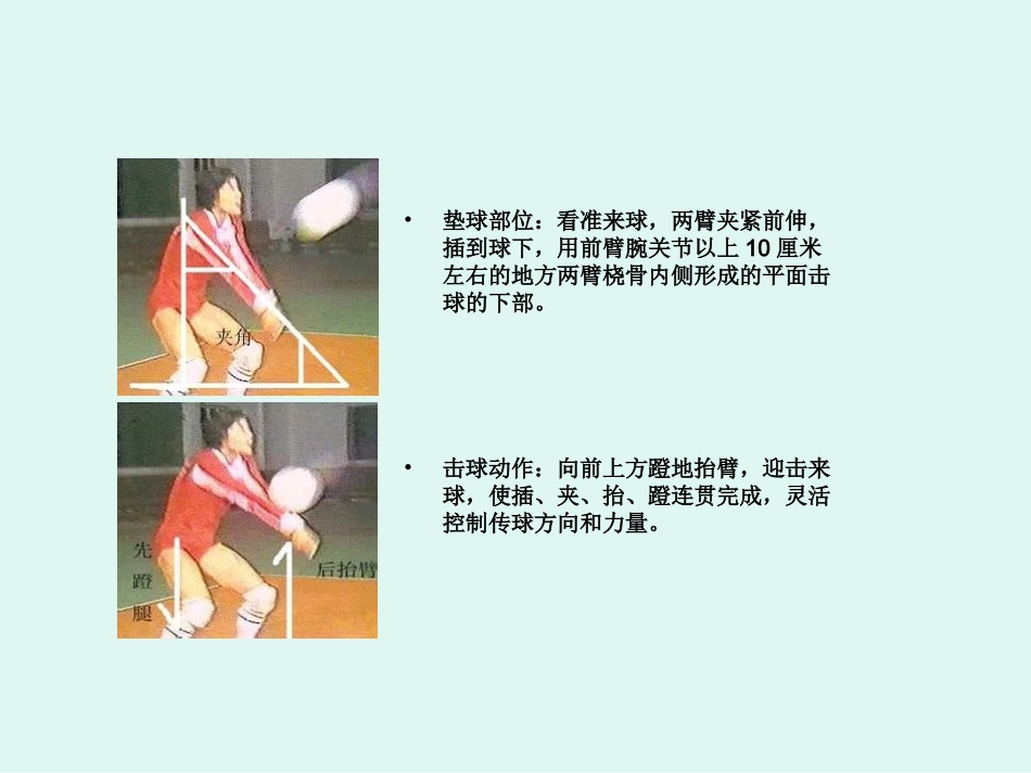 排球：正面双手垫球_第2页