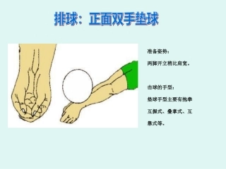 排球：正面双手垫球