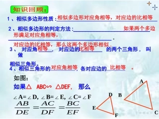 《相似三角形的判定》第一课时