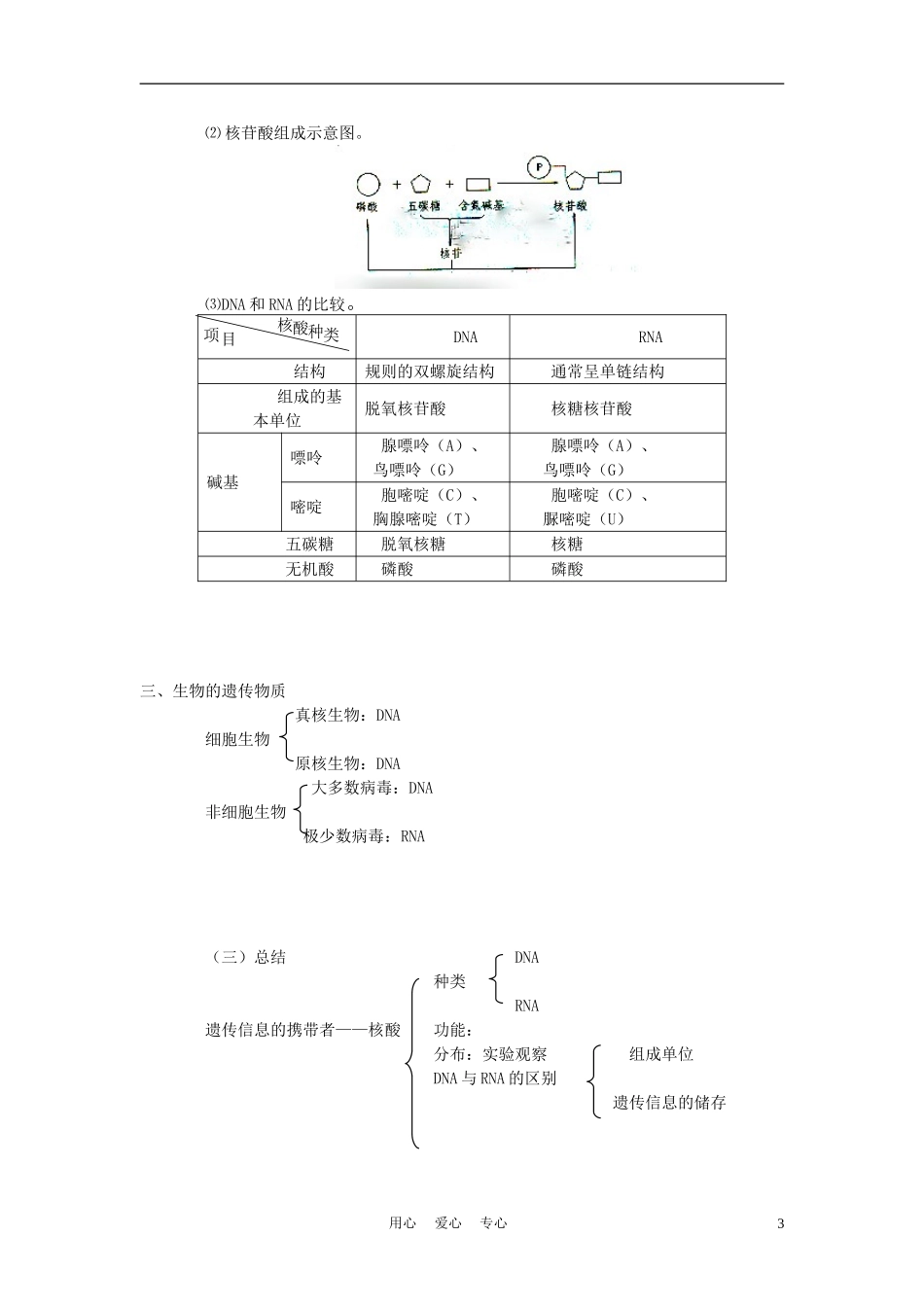 高中生物《核酸的结构和功能》教案3-中图版必修1_第3页
