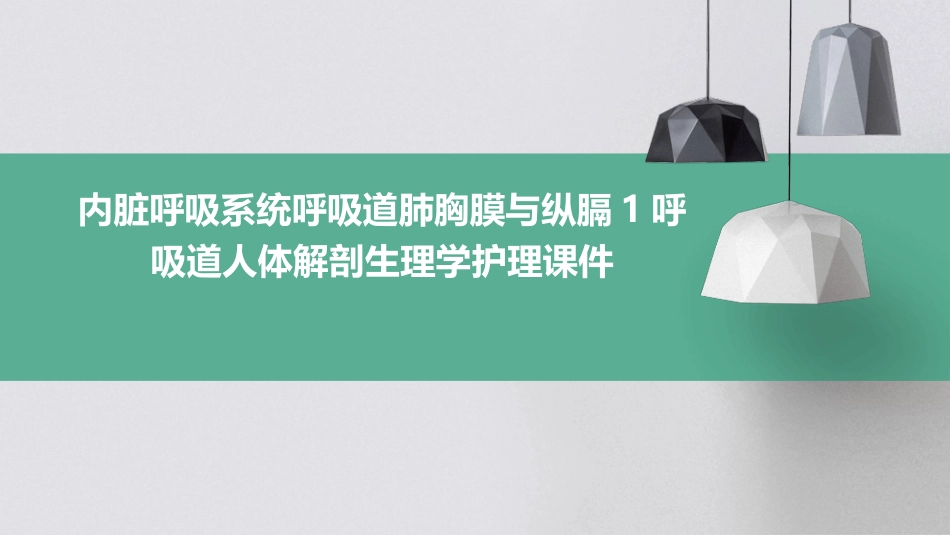 内脏呼吸系统呼吸道肺胸膜与纵膈1呼吸道人体解剖生理学护理课件_第1页