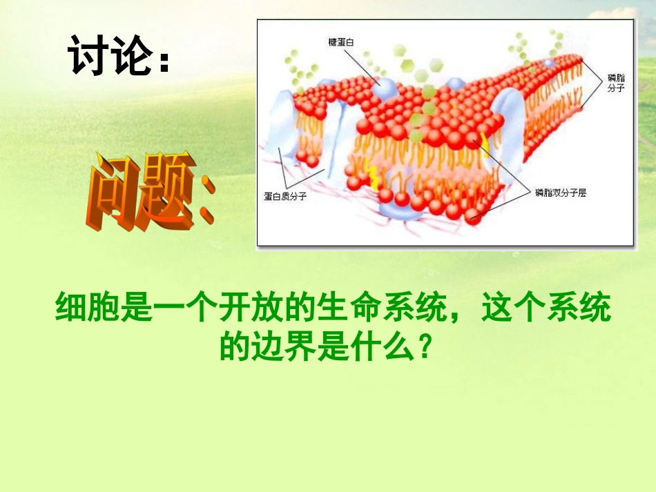 高中生物《第四章-第一节-物质跨膜运输的实例》课件1-新人教版必修1_第2页