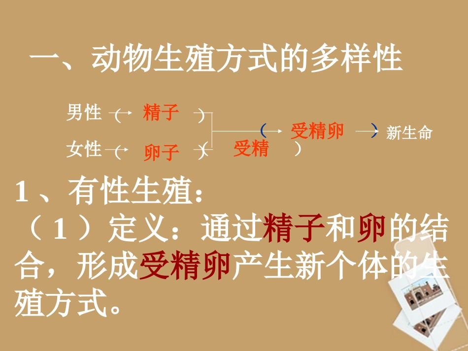 浙江省桐乡三中七年级科学下册《动物新老个体的更替》课件1-浙教版_第2页